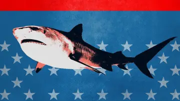 Backdrop к сериалу "Shark Week" #1362265