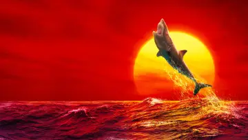 Backdrop к сериалу "Shark Week" #1362267