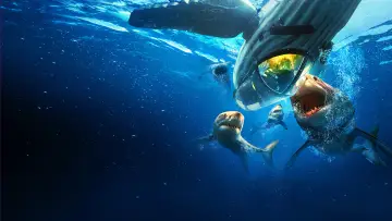 Backdrop к сериалу "Shark Week" #1362268