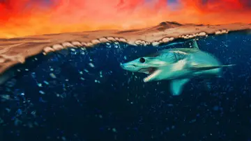 Backdrop к сериалу "Shark Week" #1362271