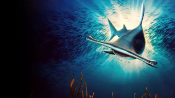 Backdrop к сериалу "Shark Week" #1362272