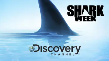 Backdrop к сериалу "Shark Week" #1362274