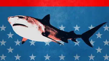 Backdrop к сериалу "Shark Week" #1362275