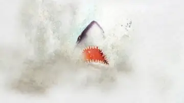 Backdrop к сериалу "Shark Week" #1362277