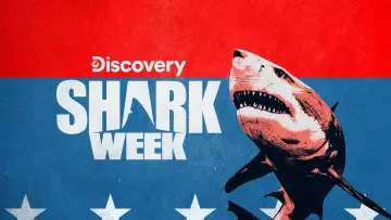 Backdrop к сериалу "Shark Week" #1362279