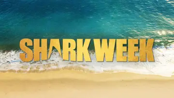 Backdrop к сериалу "Shark Week" #1362282