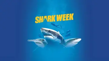 Backdrop к сериалу "Shark Week" #1362284