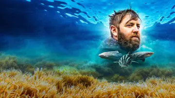 Backdrop к сериалу "Shark Week" #1362287