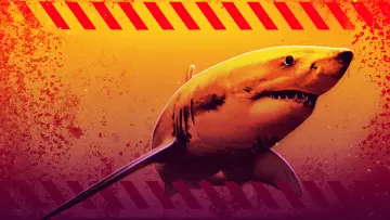 Backdrop к сериалу "Shark Week" #1362290