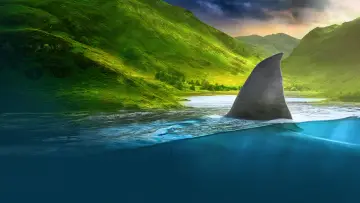 Backdrop к сериалу "Shark Week" #1362292