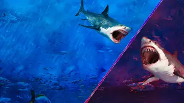 Backdrop к сериалу "Shark Week" #1362293