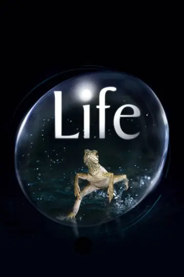 Poster к сериалу "Life" #1455294