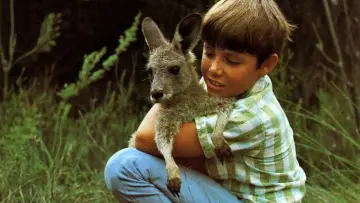 Backdrop for the TV series "Skippy the Bush Kangaroo" #1441006