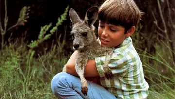 Backdrop for the TV series "Skippy the Bush Kangaroo" #1441007