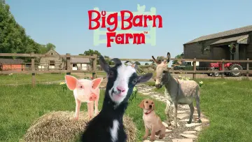 Backdrop for the TV series "Big Barn Farm" #1809020