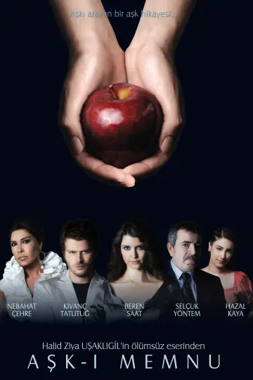 Poster for the TV series "Forbidden Love" #1726450