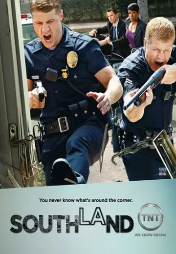 Poster for the TV series "Southland" #1695018