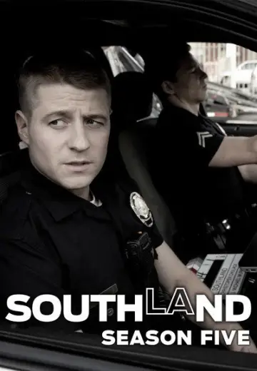 Poster for the TV series "Southland" #1695025