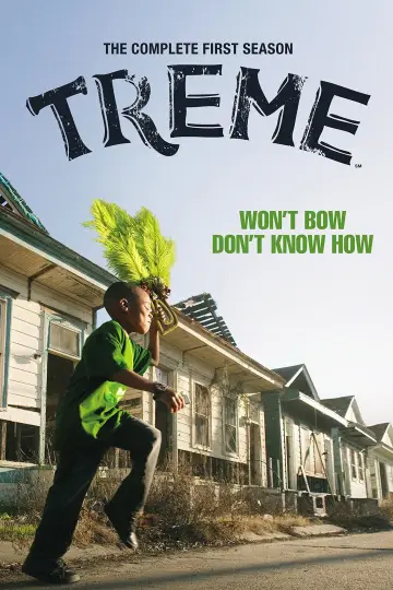 Poster for the TV series "Treme" #1710356