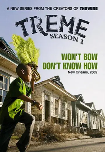Poster for the TV series "Treme" #1710357
