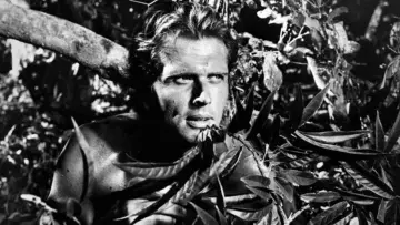 Backdrop к сериалу "Tarzan" #1345679
