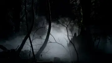 Backdrop к сериалу "The Vampire Diaries" #1240032