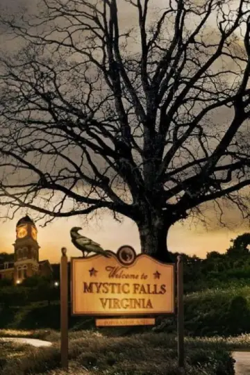 Poster к сериалу "The Vampire Diaries" #1240404