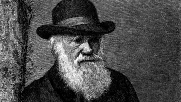 Backdrop for the TV series "The Genius of Charles Darwin" #1830379