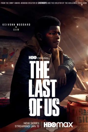 Poster for the TV series "The Last of Us" #1285385