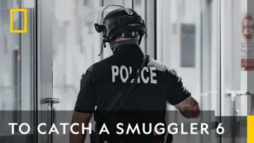Backdrop for the TV series "To Catch a Smuggler" #1598852