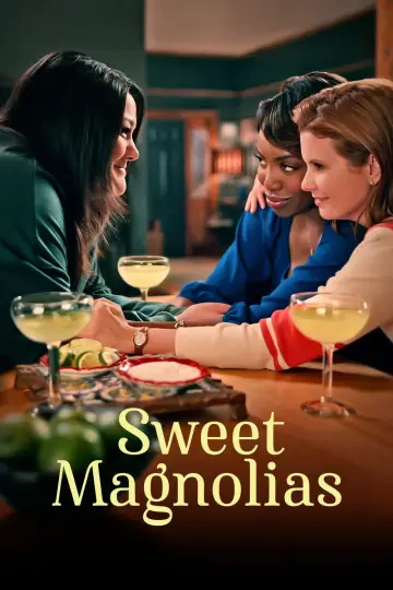 Poster for the TV series "Sweet Magnolias" #1382948