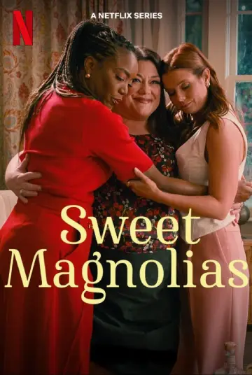 Poster for the TV series "Sweet Magnolias" #1382951