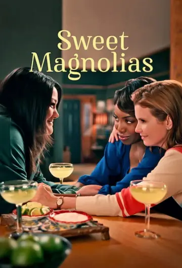 Poster for the TV series "Sweet Magnolias" #1382953