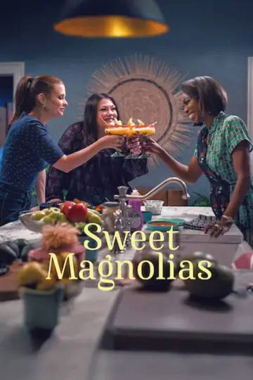 Poster for the TV series "Sweet Magnolias" #1382961