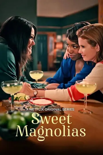 Poster for the TV series "Sweet Magnolias" #1712770