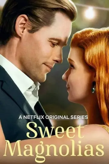 Poster for the TV series "Sweet Magnolias" #1712775