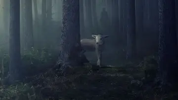 Backdrop к сериалу "Clarice" #1469048