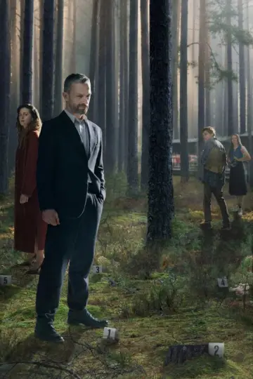 Poster for the TV series "The Woods" #1410231