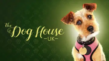 Backdrop for the TV series "The Dog House" #1669850