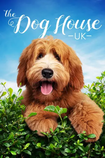 Poster for the TV series "The Dog House" #1669854