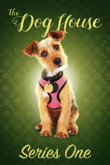 Poster for the TV series "The Dog House" #1769085