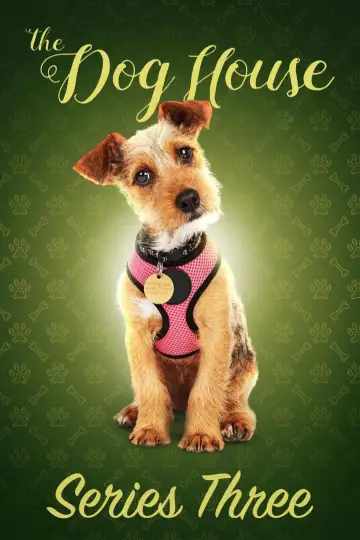 Poster for the TV series "The Dog House" #1769091