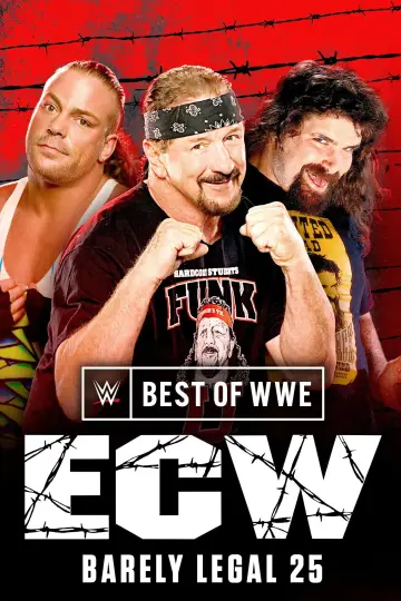 Poster for the TV series "The Best of WWE" #1443528