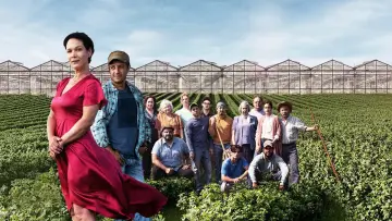 Backdrop for the TV series "Le temps des framboises" #1826419