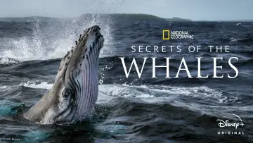 Backdrop for the TV series "Secrets of the Whales" #1871332