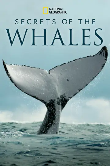 Poster for the TV series "Secrets of the Whales" #1871338