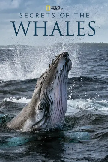Poster for the TV series "Secrets of the Whales" #1871339