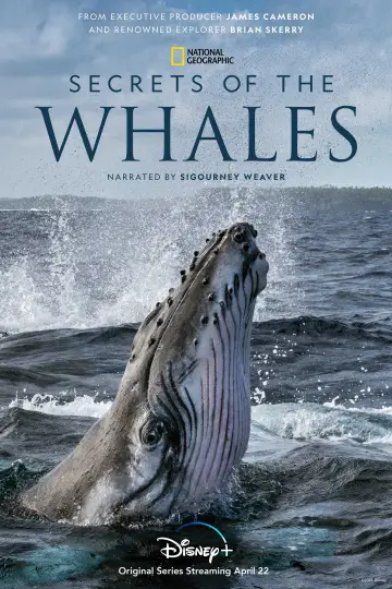 Poster for the TV series "Secrets of the Whales" #1871340