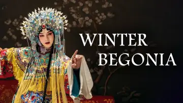 Backdrop for the TV series "Winter Begonia" #1432871