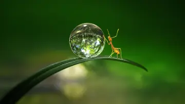 Backdrop for the TV series "Tiny World" #1505891